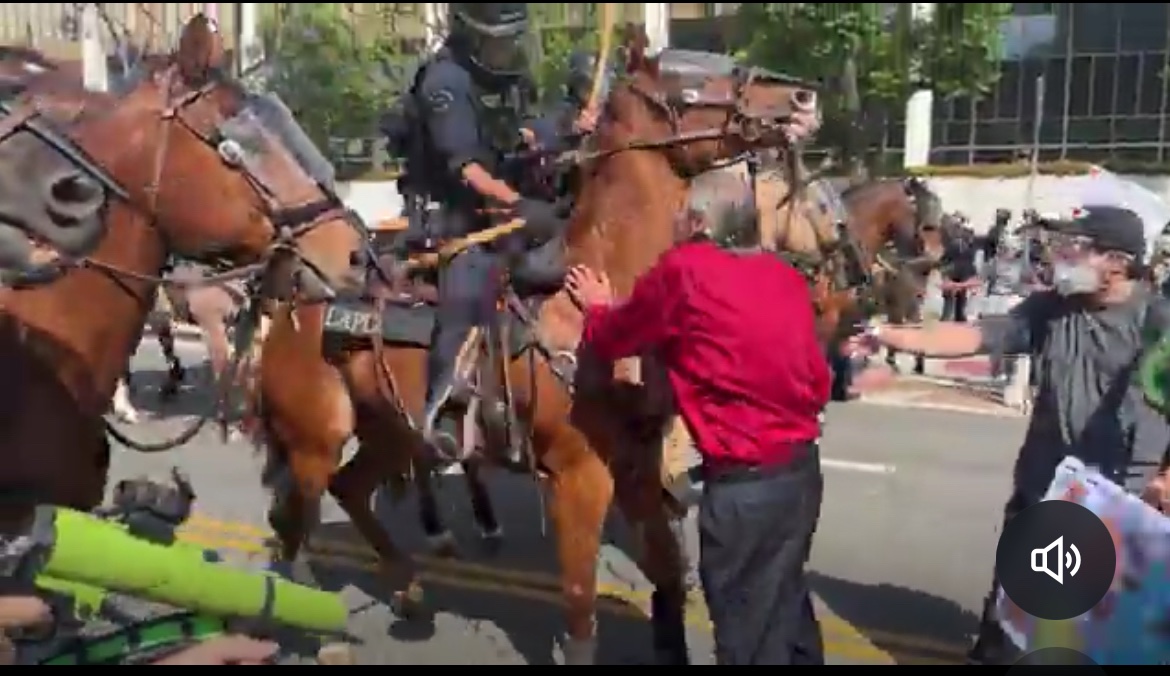 Protester Ignored Police Orders: Is Horse Touching the New K9?