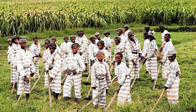 SC's Shocking Past: Black Children "Apprenticed" by State! 🚨