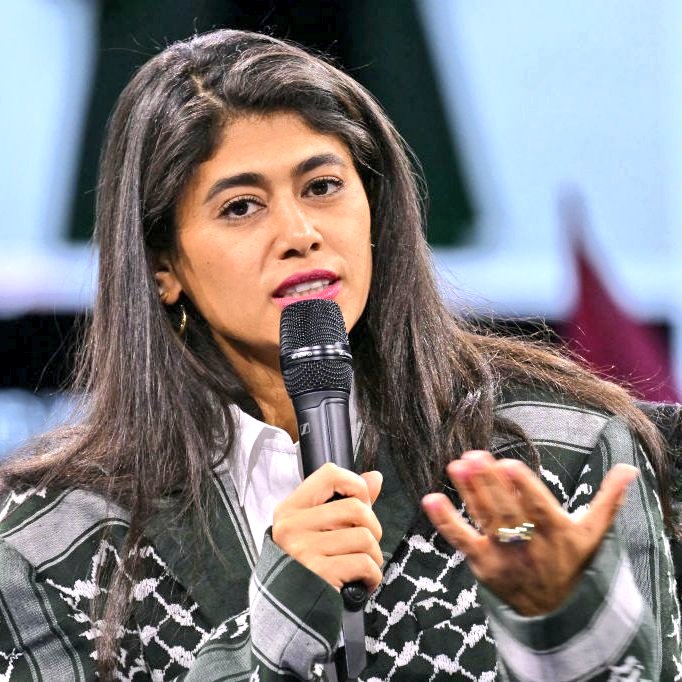 SHOCKING: EU's Rima Hassan Allegedly Abducted for Detention in Israel!