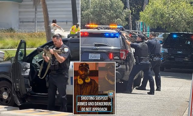 Santa Monica Mall Locked Down: Gunman Shoots, Officer Hurt!