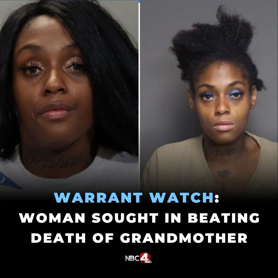 Shocking Daylight Murder: Grandma Beaten to Death with Bat!