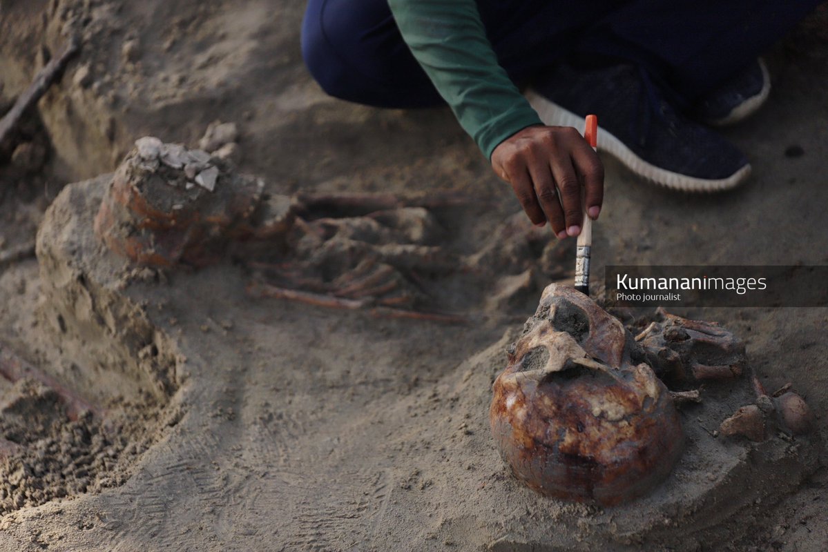 Shocking Discovery: 17 Skeletons Found in Jaffna Mass Grave!