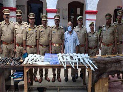 Shocking Raid: UP Police Seizes 300 Guns from Lucknow Home!
