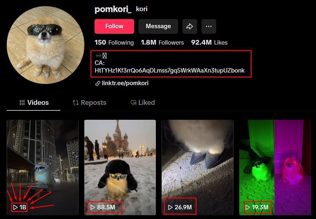 Shocking! TikTok Star KORI Shatters Records, Sparks Outrage!