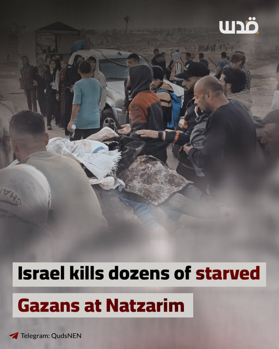 Shocking Tragedy: 71 Lives Lost in Gaza Amid Escalating Violence!