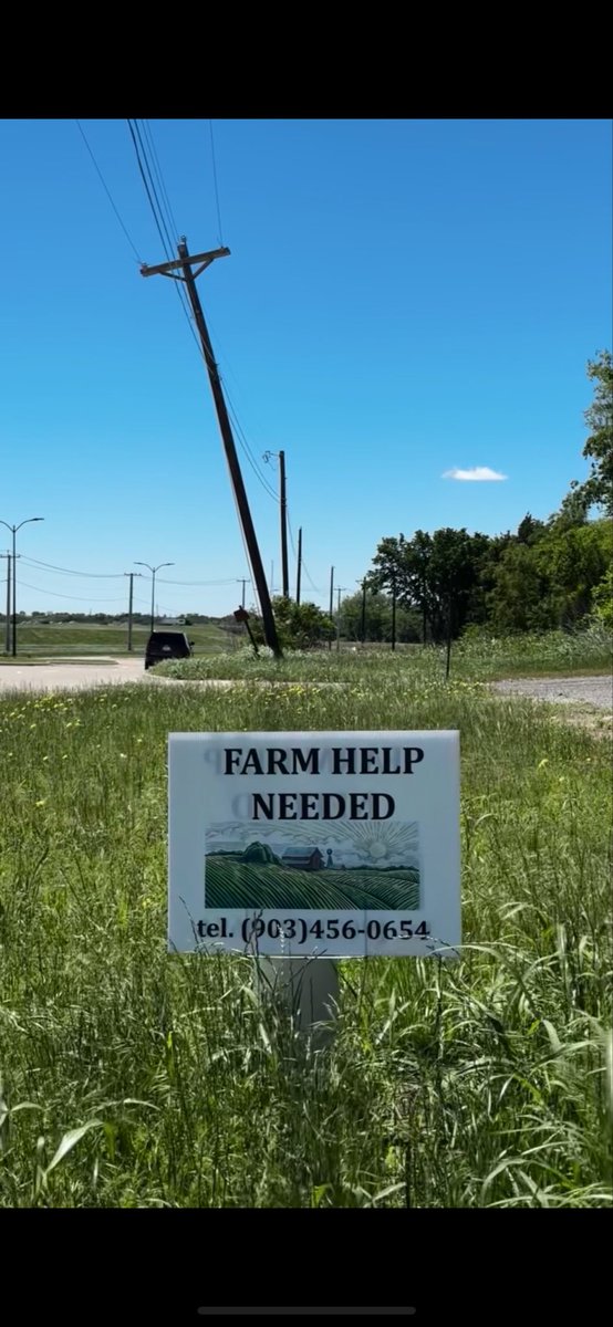 Texas Farmers Struggle as Trump’s Policies Chase Away Workers!