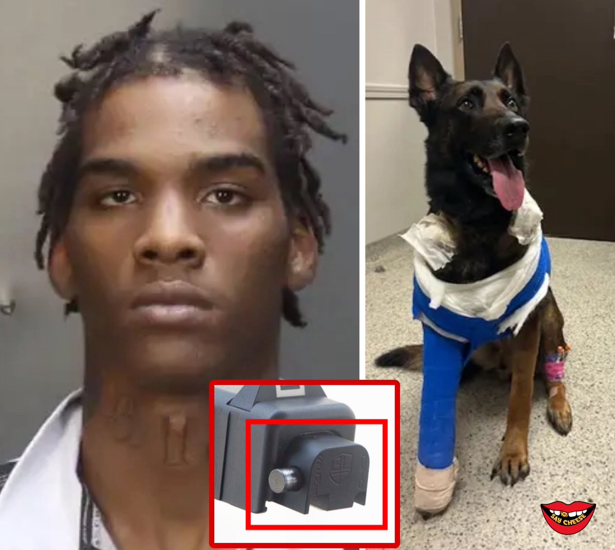 Texas Teen Charged After Shooting K9; Faces 10 Years in Prison!