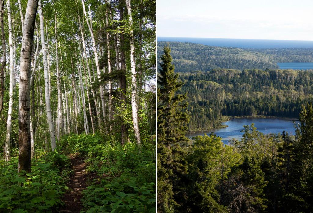 Tragedy Strikes: 2 Campers Dead on Lake Superior Island!  
5 Fatalities in Under a Year: What's Happening on the Great Lake?