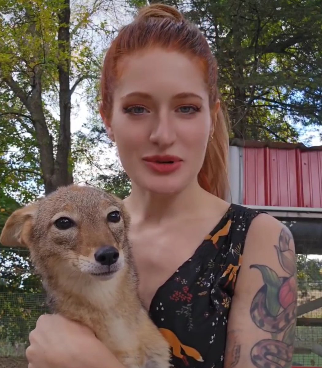 Tragic Death of YouTuber Mikayla Raines: Harassment's Deadly Toll on Mental Health