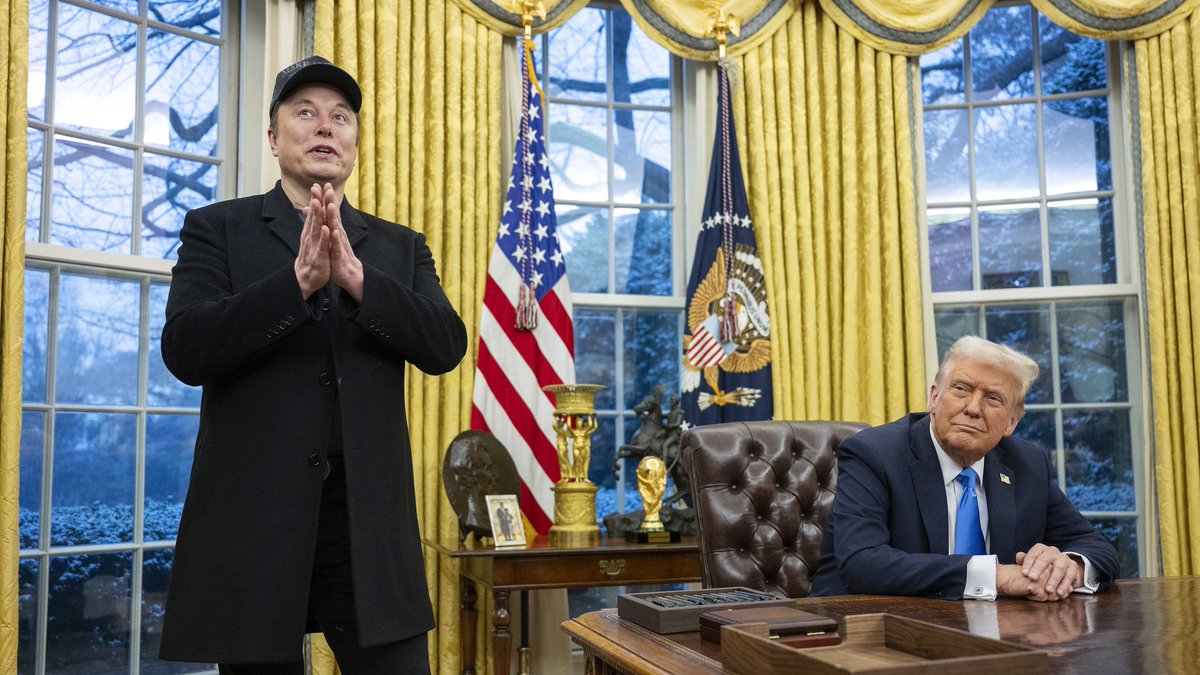 Trump Denies Plans to Investigate Musk Amid Controversial Claims