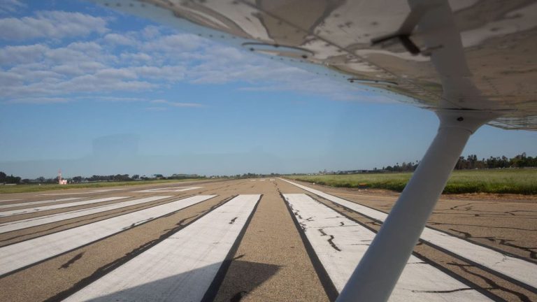 Turtle on Runway Blamed for Deadly Plane Crash in NC