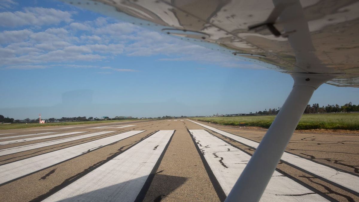 Turtle on Runway Blamed for Deadly Plane Crash in NC