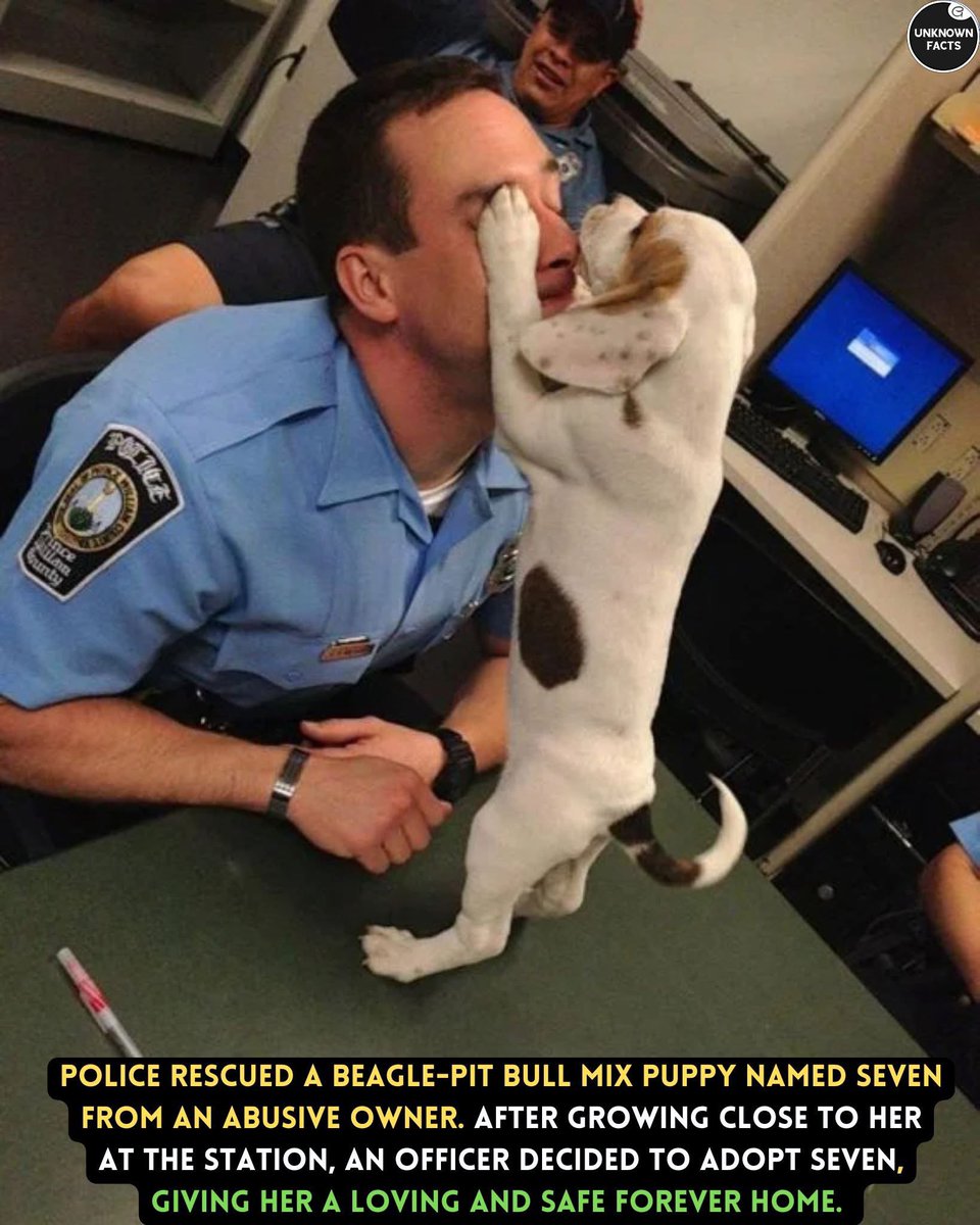 Virginia Police Save Abused Puppy: Heroism or Overreach?