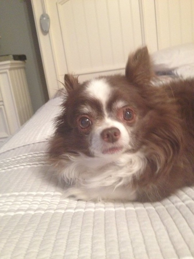 Death - Obituary News: Grizz's Final Thoughts: A Tribute to "The One-Man Iris"!