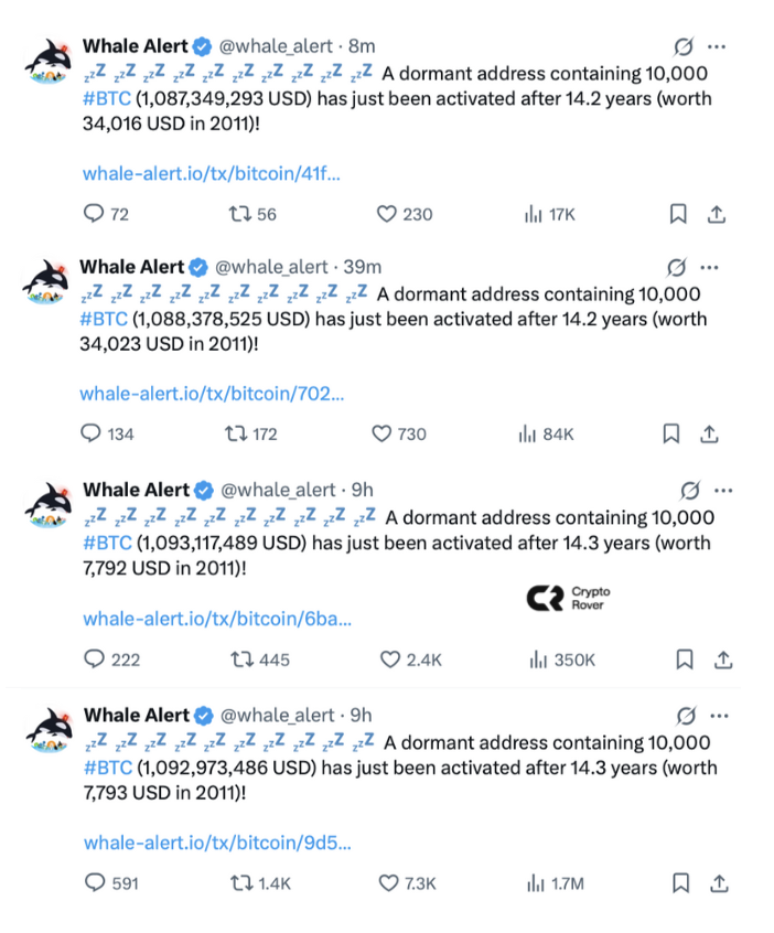 💥BREAKING: 40,000 $BTC Unlocked After 14 Years—What Secrets Lurk?