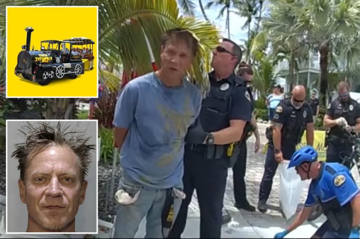 Birthday Bash or Criminal Caper? Florida Man Joyrides Stolen Train!
