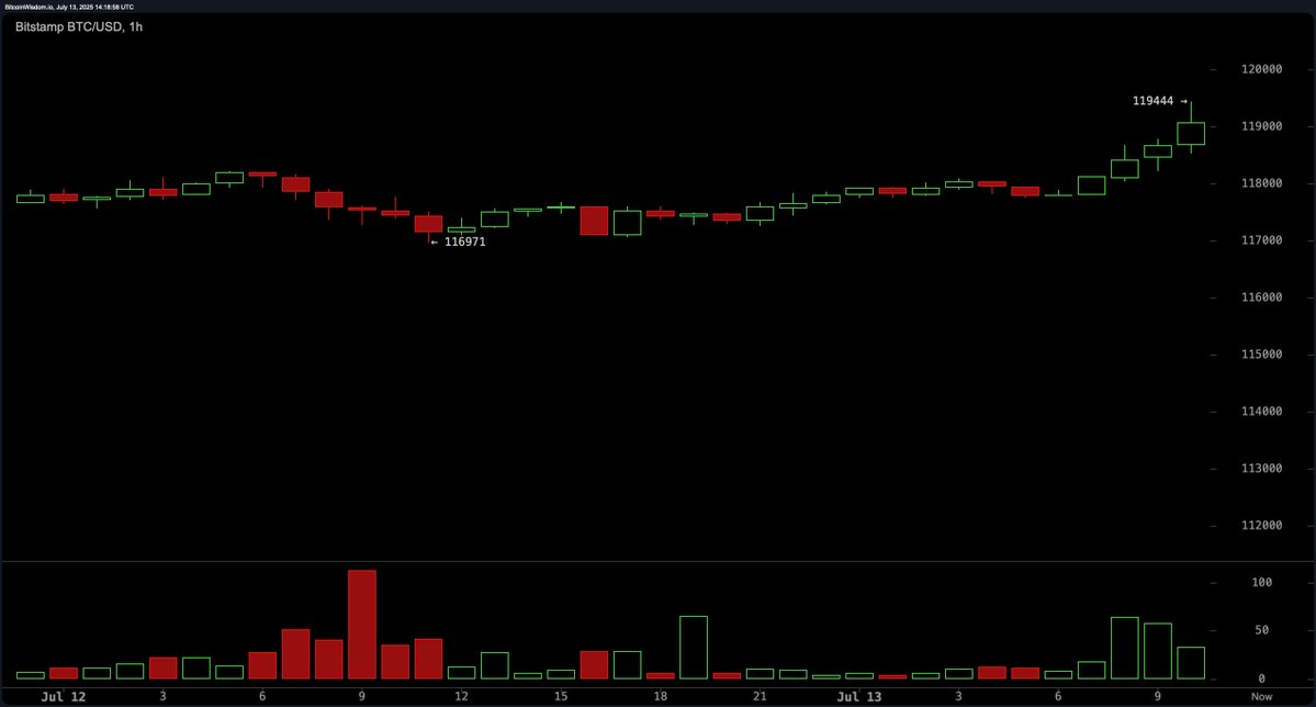 Bitcoin Soars to $119,444: Is This the New Normal? —  Bitcoin price surge, cryptocurrency market update, Bitcoin trading signals 2025