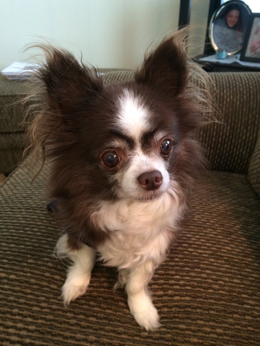 Death - Obituary News: Grizz's Last Laugh: Book Review of a Lifetime!