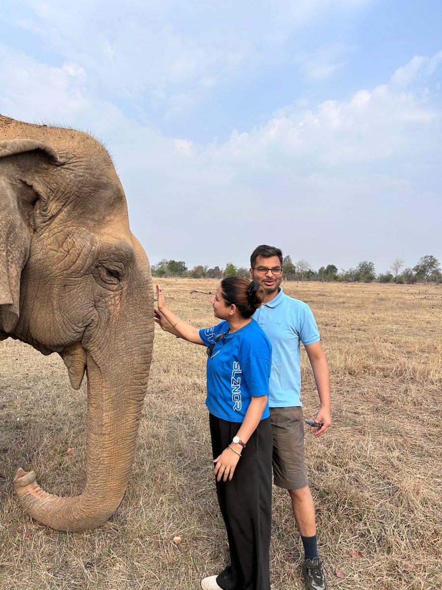 Death - Obituary News: India's Beloved Centenarian Elephant Dadi Passes Away