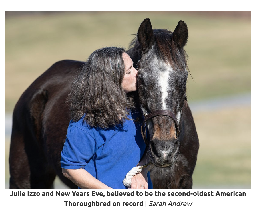 Death - Obituary News: "Legendary Racehorse Dies at 39 in Quick Call Stakes at Saratoga"
