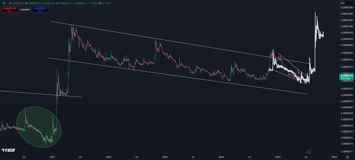 Dogecoin Surges: Can It Overtake Bitcoin's Dominance? —  Dogecoin price surge, Bitcoin market trends, crypto investment strategies