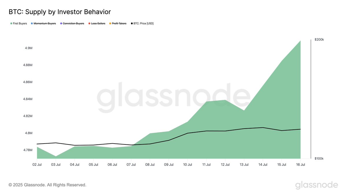 JUST IN: 140K Bitcoin Hoarded This July – Who's Behind It? —  Bitcoin market surge, July cryptocurrency trends, fresh Bitcoin investments 2025