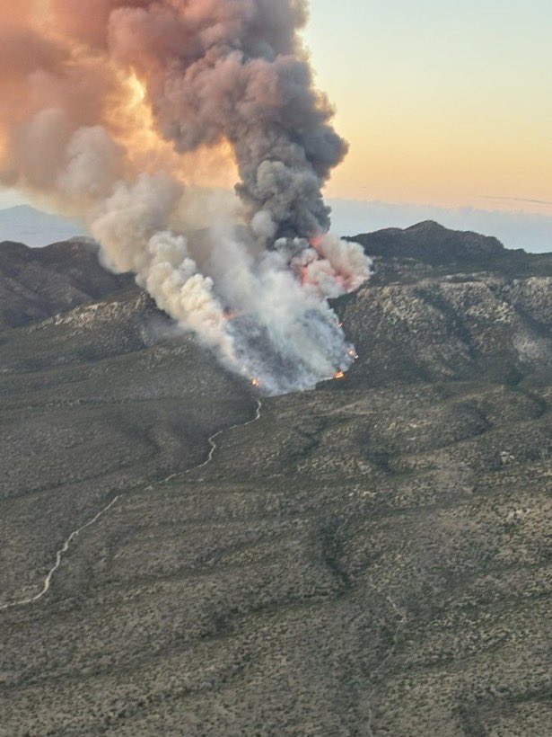 Massive Wildfires Rage in Nevada: Are Officials Doing Enough?