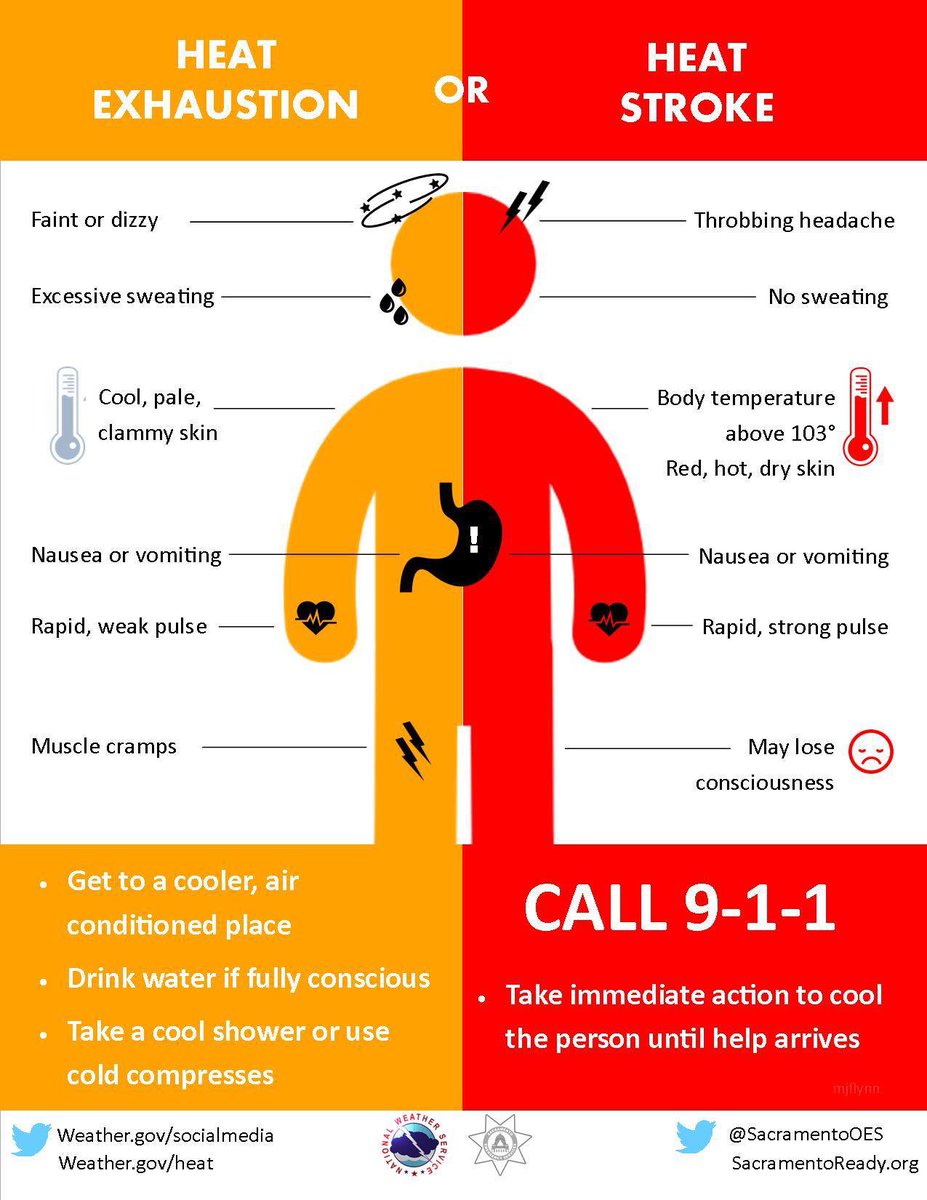 🚨 North Carolina Heat Advisory: Heat Kills, Don’t Be a Hero! 🚨