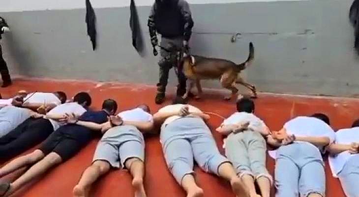 Outrage as Israel Arrests 25 Women; 3 Detainees Die in Custody!