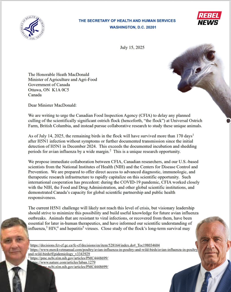 RFK Jr. vs. Canada: Ostrich Research Sparks Controversy! —  Ostrich Farming Updates, Agriculture Policy News, Animal Welfare Advocacy