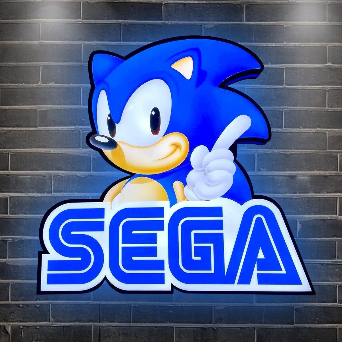 SEGA Prototype Hoard: £60K Needed to Save Gaming History! —  SEGA gaming history, video game preservation efforts, DS prototype collection 2025