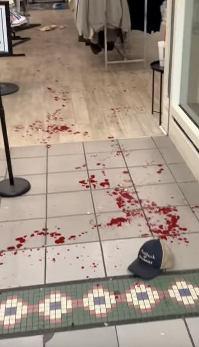 SHOCKING: Oglethorpe Mall Shooting Leaves 5 Injured, Lockdown!
