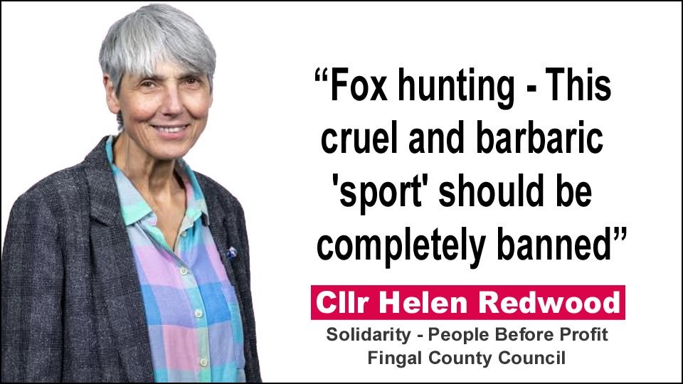 Shock Statement: Cllr Calls for Total Ban on Fox Hunting!