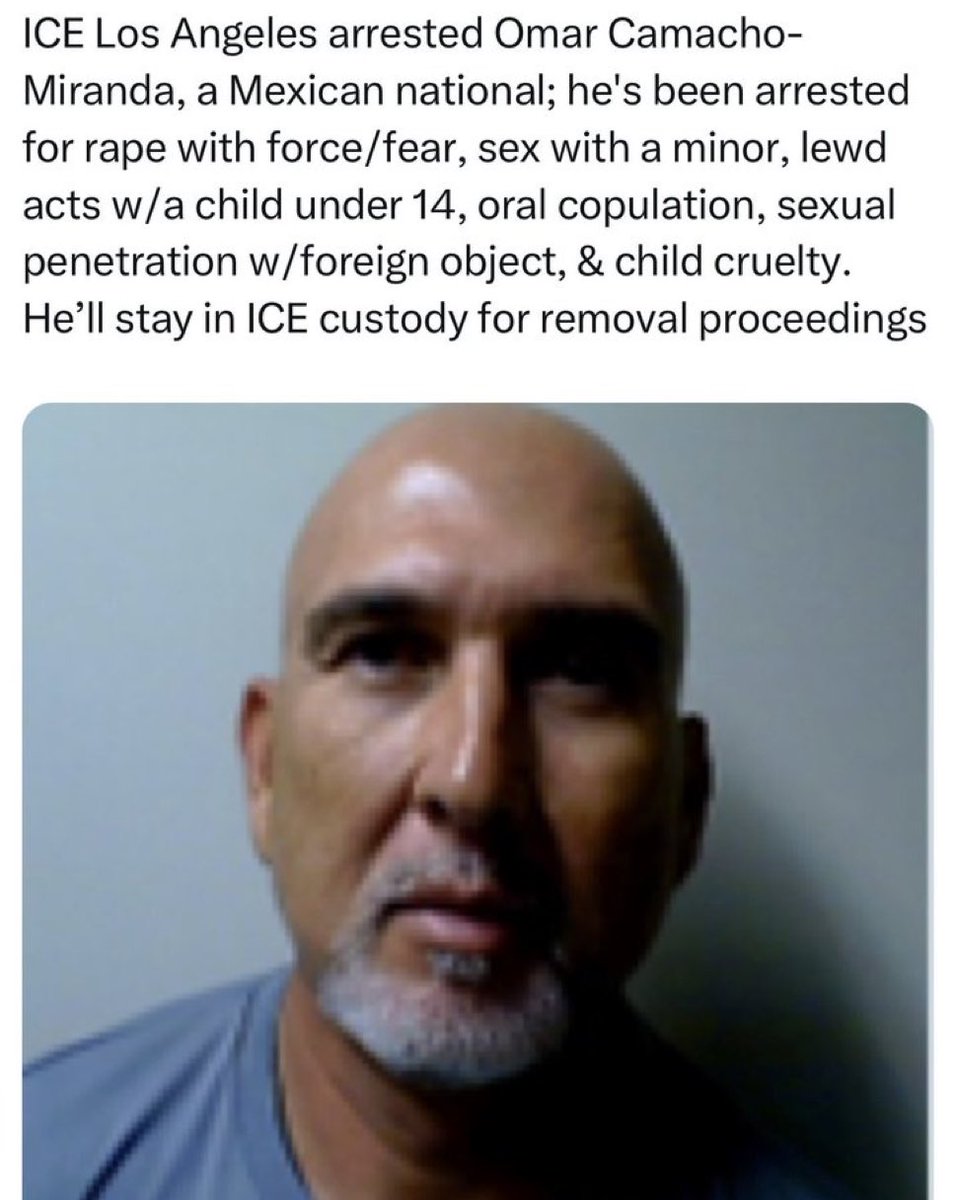 🚨 Shocking Arrest: Democrat Hero Detained by ICE in LA!
