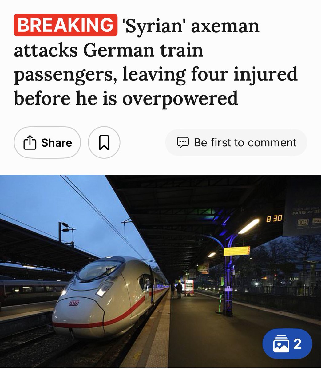 Syrian Axeman Launches Shocking Attack on Germans Aboard Train!