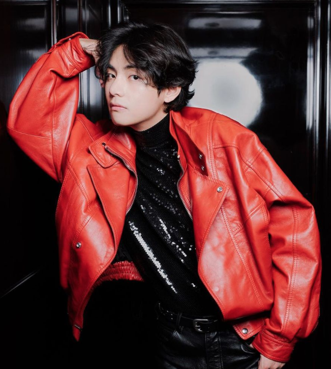 Taehyung's Celine Fashion Show Appearance Sparks Outrage!