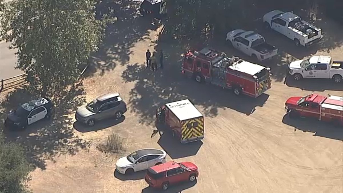 Tragedy Strikes Summer Camp: Child Dead After Tree Branch Falls