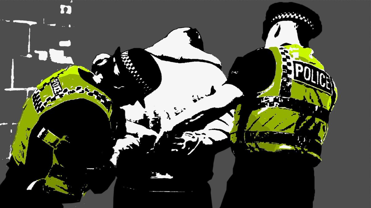 Unlawful Arrest Exposed: Did Race Influence Police Action? —  police misconduct justice, racial profiling during lockdown, high-performance vehicle rights