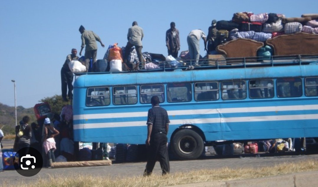 Zimbabwean Bus Driver Caught Smuggling 76 Migrants in Limpopo!