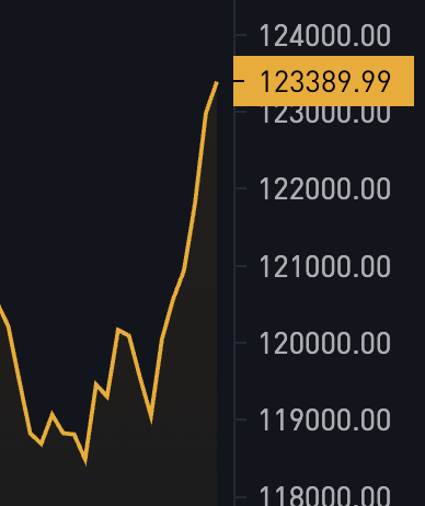 Bitcoin Soars Past $123K: Is This the New Norm? —  Bitcoin price surge 2025, Cryptocurrency market news, Bitcoin investment strategies
