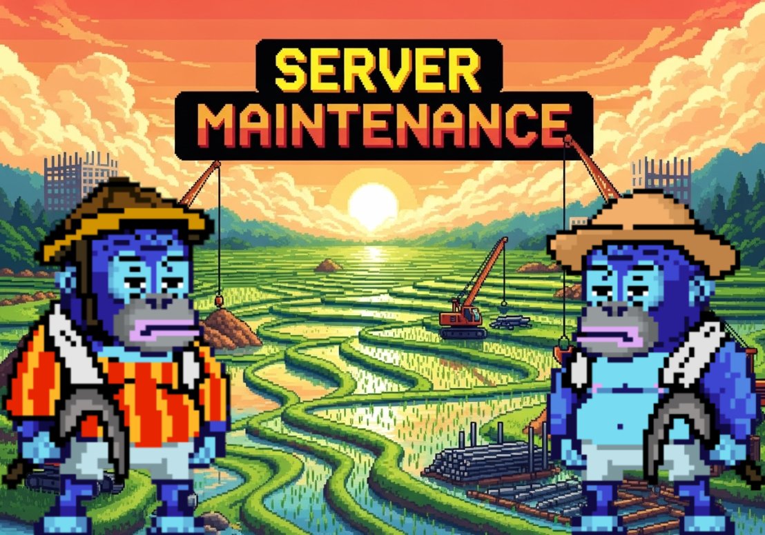 🚨Breaking: Ronke Rice Farm Goes All-In for Monke Users! —  Ronke Rice Farm Upgrade News, Daily Active Monke Users Growth, Potato to Melon Server Transition
