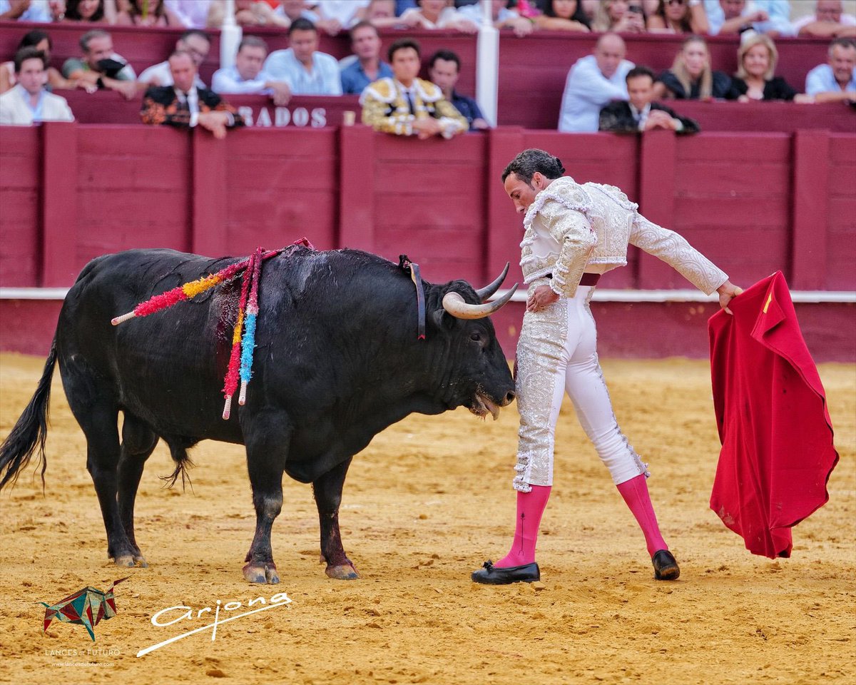 David de Miranda: Un Torero que Enfrentó a la Muerte