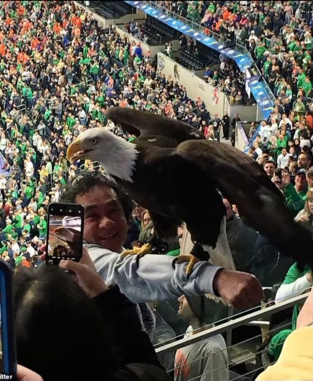 Eagle's Bold Move: Targeting Native American Fan! —  Native American symbolism in sports, eagle sightings at public events, Indigenous representation in football 2025
