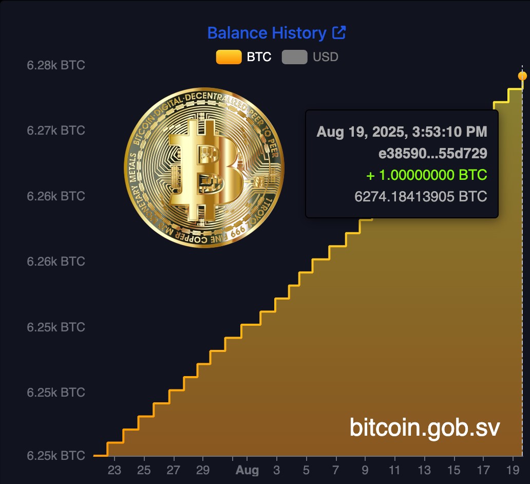 JUST IN: 🇸🇻 El Salvador's Bold Bitcoin Bet Sparks Debate! 🚀 —  El Salvador bitcoin investment, cryptocurrency reserve strategy 2025, buying bitcoin dip news