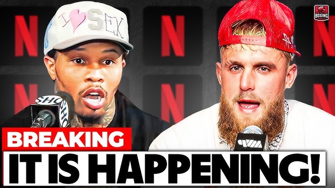 🚨 Mega Fight Night on Netflix: Who Will Dominate the Ring? —  MMA Mega Event November, Celebrity Boxing Showdown 2025, Netflix Fight Night Special