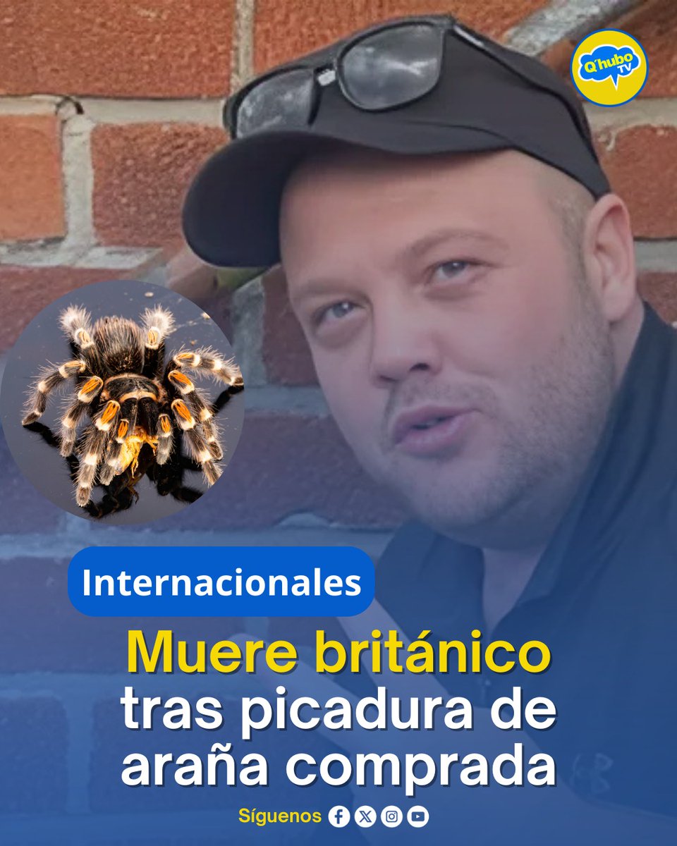 Muere británico tras picadura de araña comprada en línea