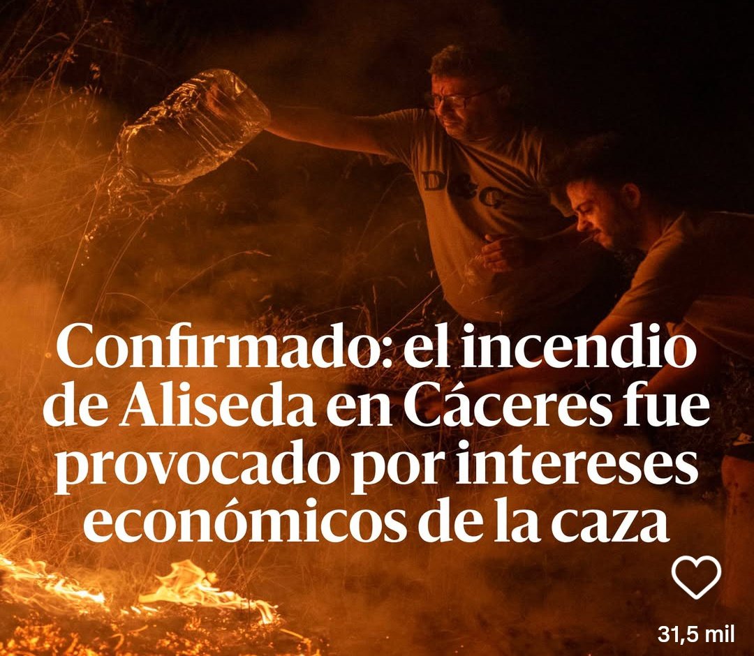 No me arrepiento: la caza y el toreo son inaceptables