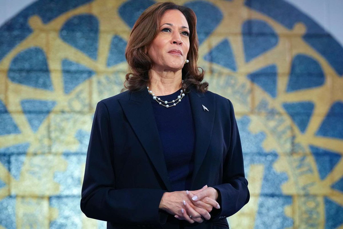 Shocking Use of $1.5B: Harris Spends Big on Treats! —  former Vice President campaign spending, Kamala Harris budget breakdown 2025, political campaign expenses analysis