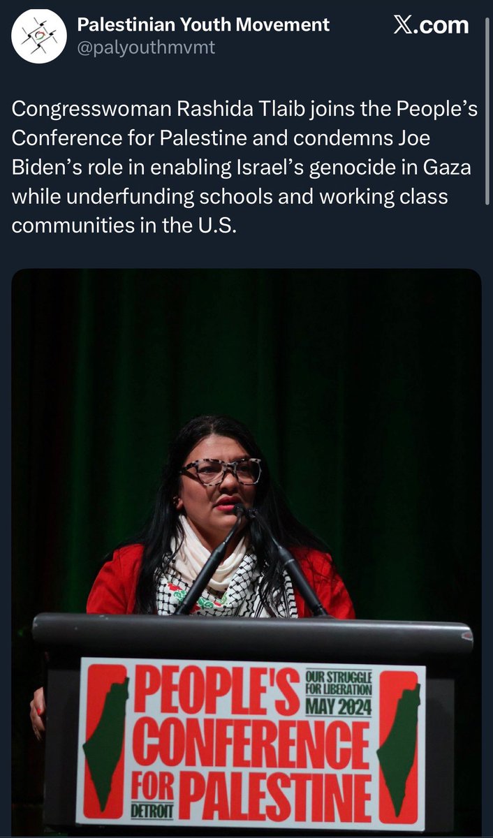 Shockwaves: Should Tlaib Be Expelled from Congress? —  Rashida Tlaib Palestine Conference, Censure Tlaib Speaker Johnson, Palestinian Youth Movement Influence