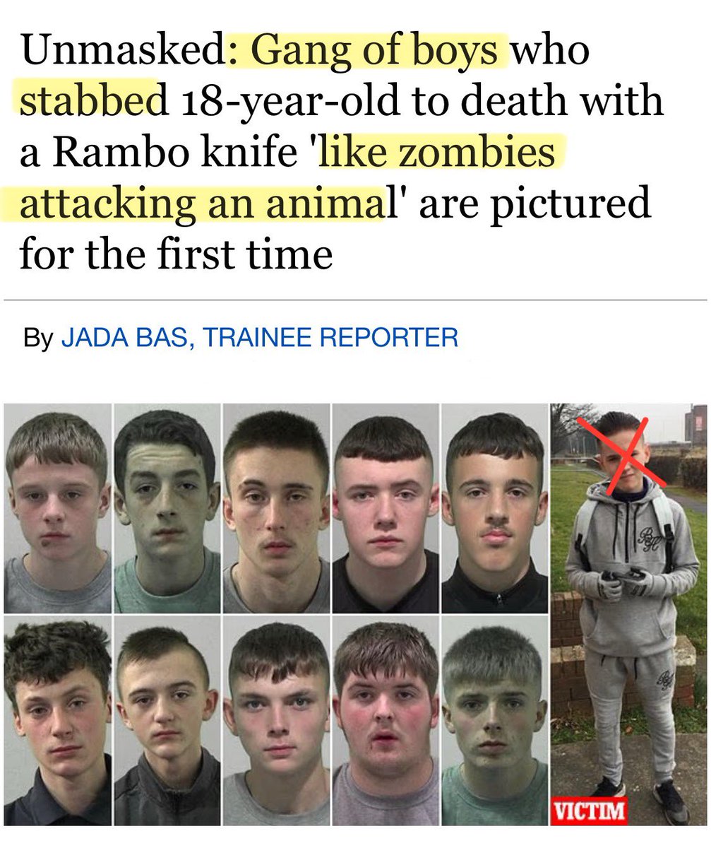Unmasked: Shocking Mugshots of Thugs Released! —  gang violence, teen murder case, criminal mugshots 2025
